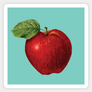 Red apple print Sticker